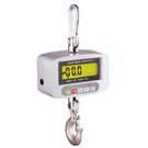 OCS係列直視式電子吊鉤秤